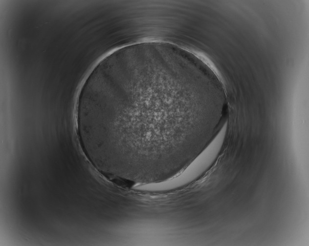 X0000088081148200705251403