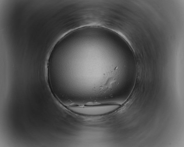 X0000088081151200705251403