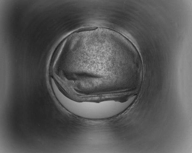 X0000088081152200705251403