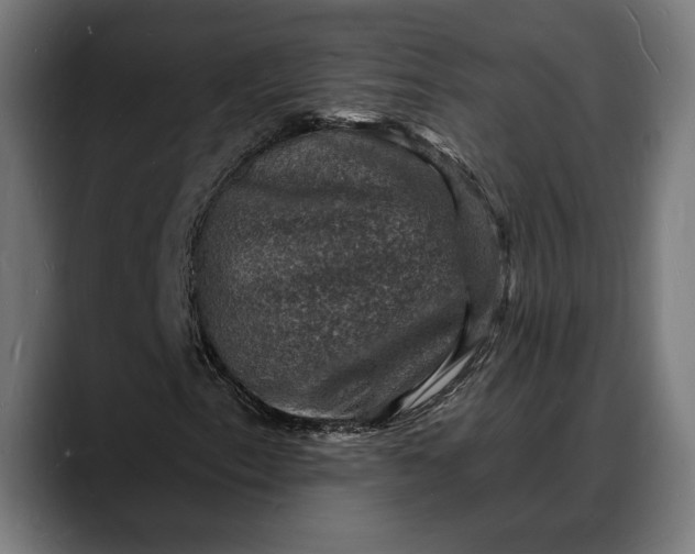 X0000088081153200705251402