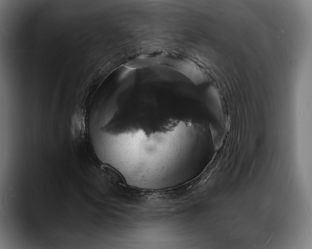 X0000088081155200705251402