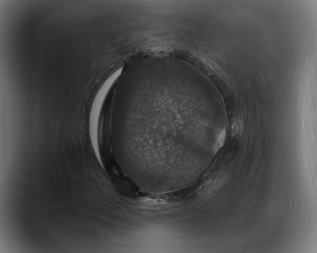 X0000088081156200705251402