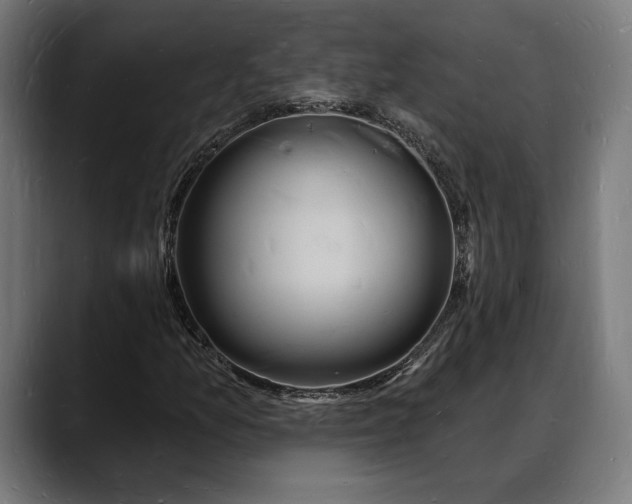 X0000088081157200705251402