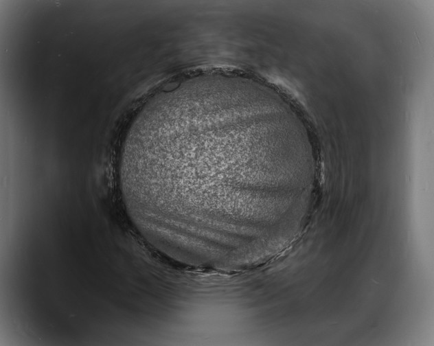 X0000088081159200705251402