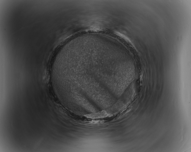 X0000088081160200705251402