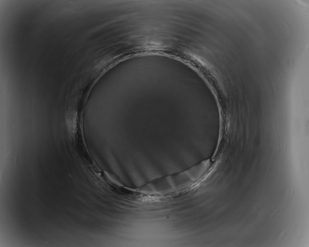 X0000088081161200705251402