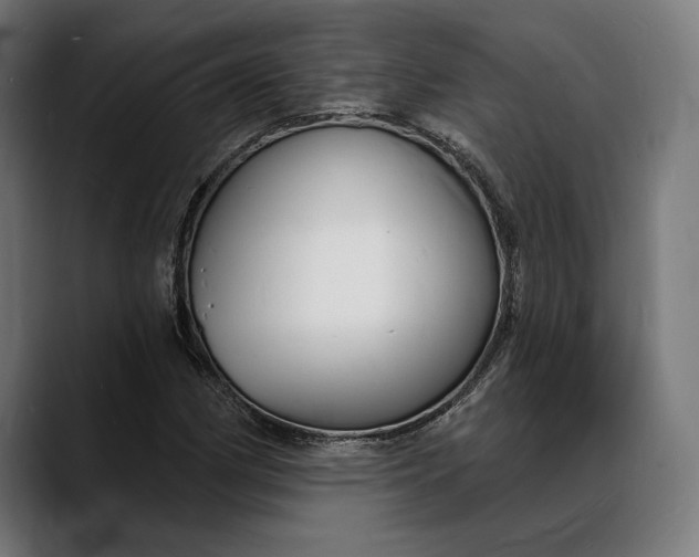 X0000088081162200705251402