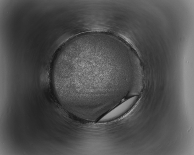 X0000088081163200705251402