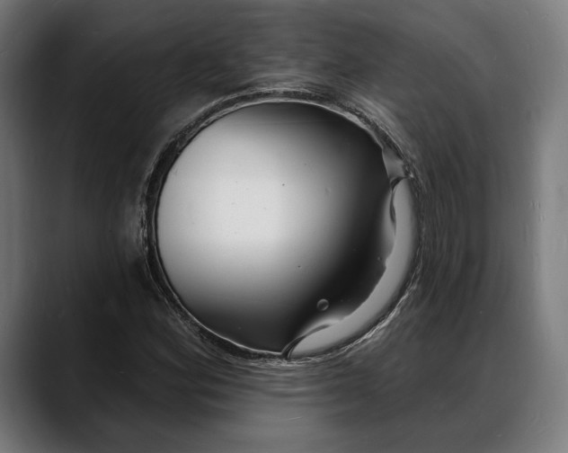 X0000088081164200705251402