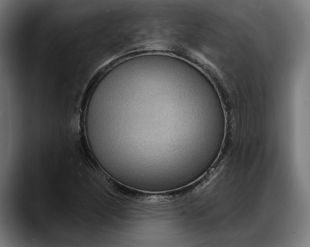 X0000088081166200705251402