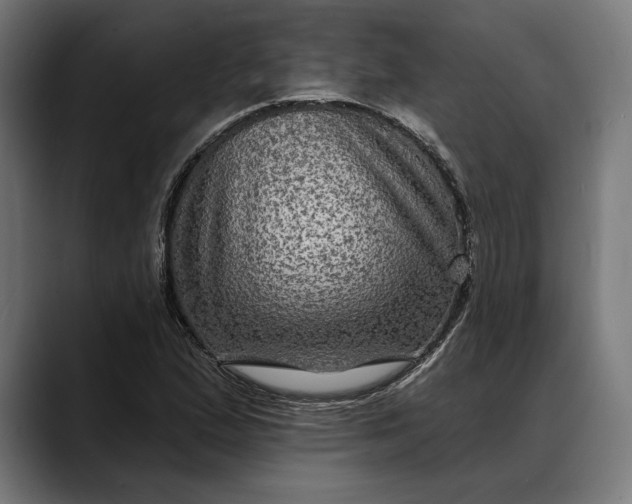 X0000088081167200705251402