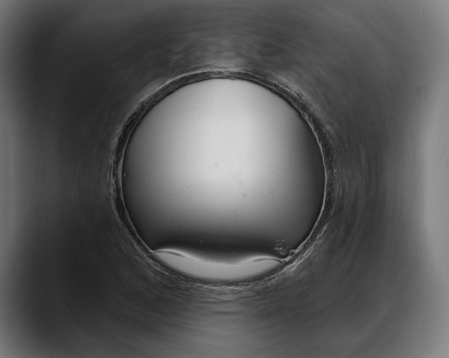 X0000088081168200705251402