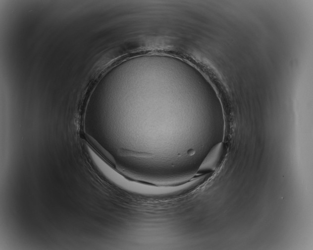 X0000088081169200705251402