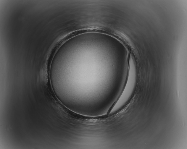 X0000088081172200705251402