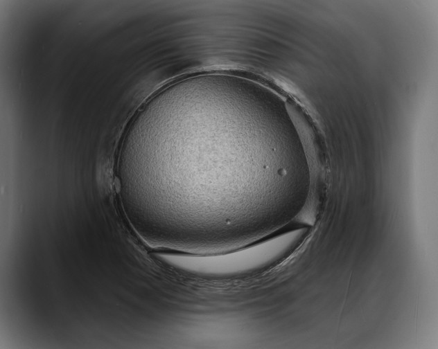 X0000088081177200705251402