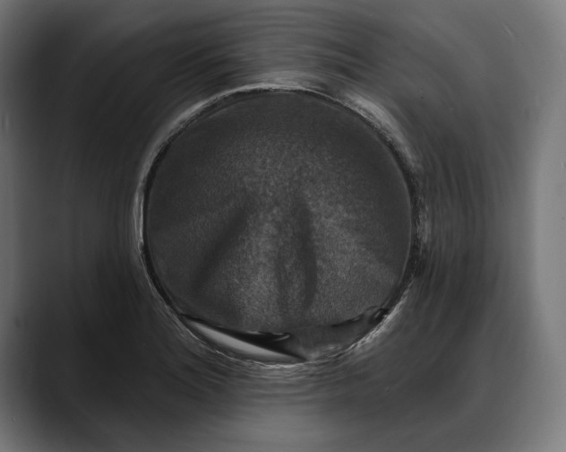 X0000088081180200705251402