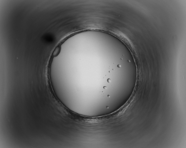 X0000088081182200705251402
