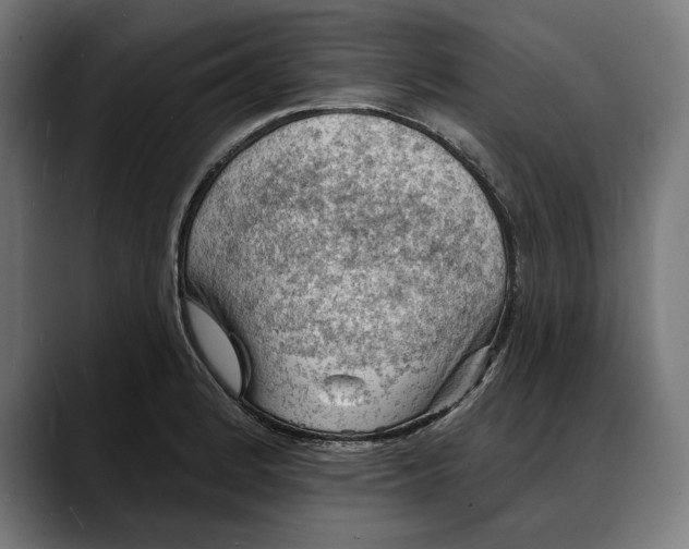 X0000088081184200705251402