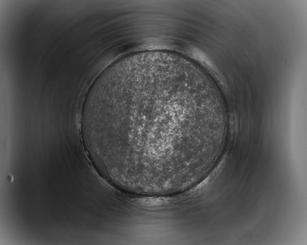 X0000088081185200705251402