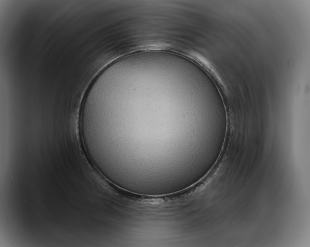 X0000088081186200705251402