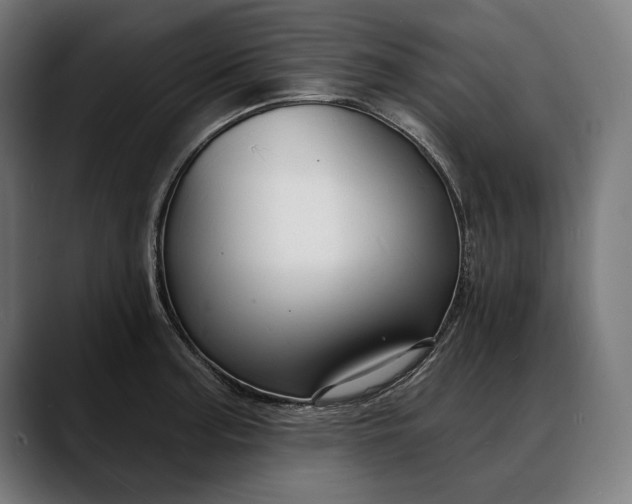X0000088081187200705251402