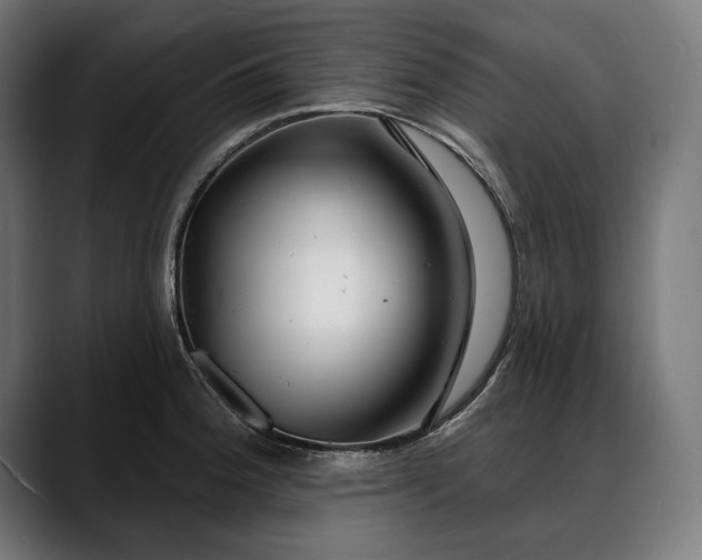 X0000088081188200705251402