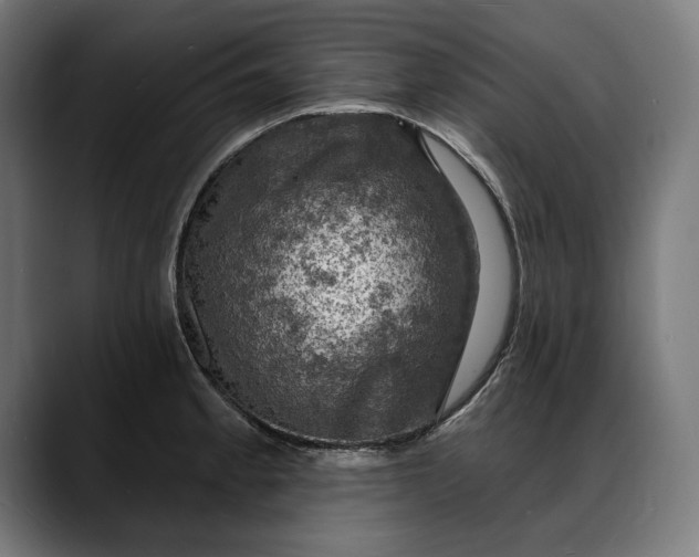 X0000088081189200705251402