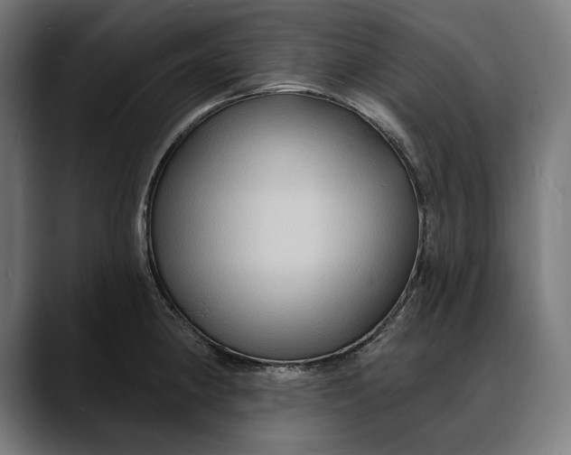 X0000088081190200705251402