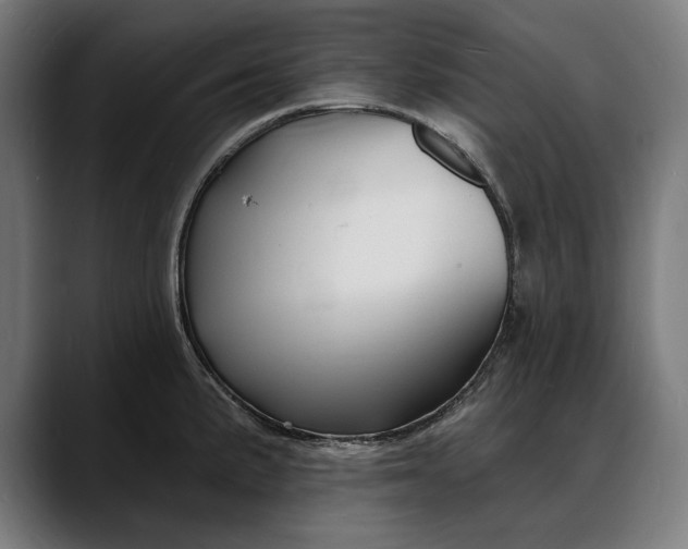 X0000088081191200705251402