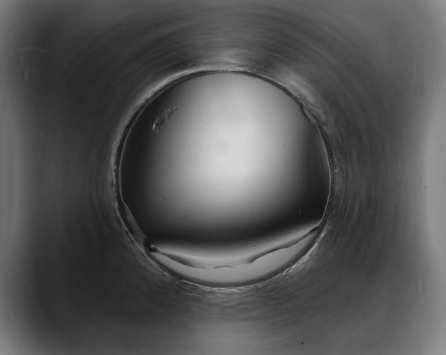 X0000088081192200705251402