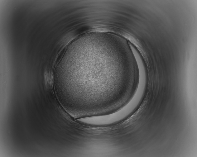 X0000088081193200705251402
