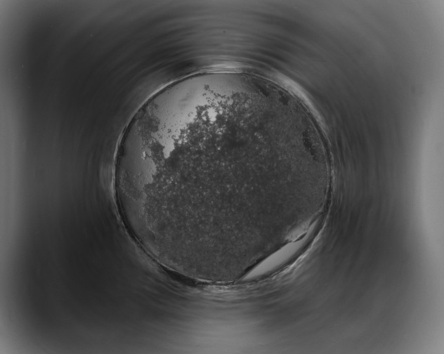 X0000088081194200705251402
