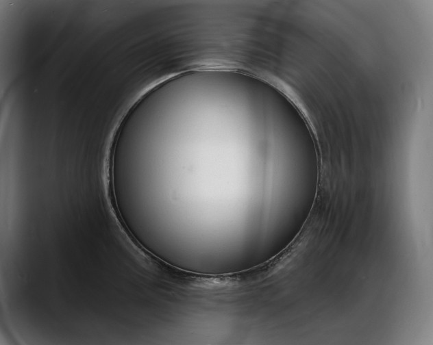 X0000088081195200705251402