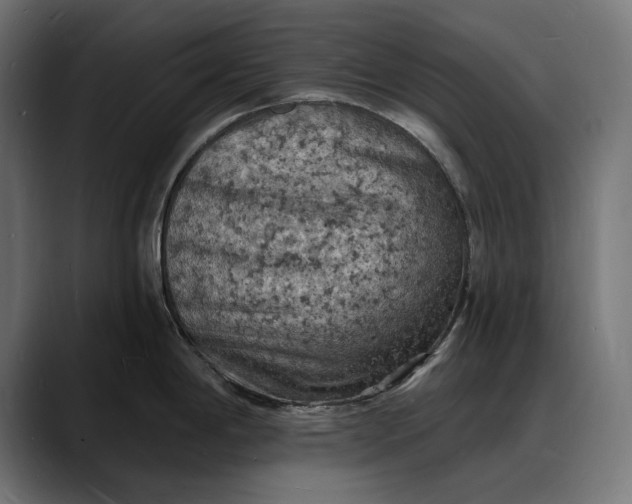 X0000088081198200705251402