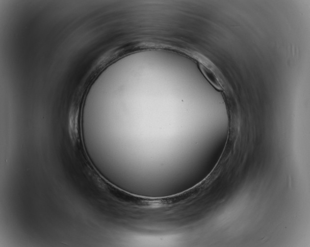 X0000088081199200705251402