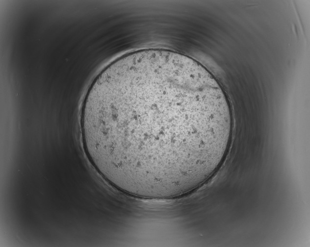 X0000088081200200705251402