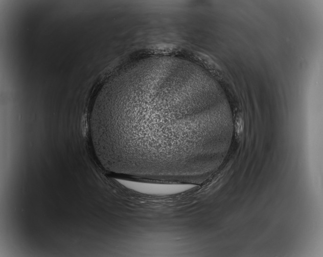 X0000088081204200705251401