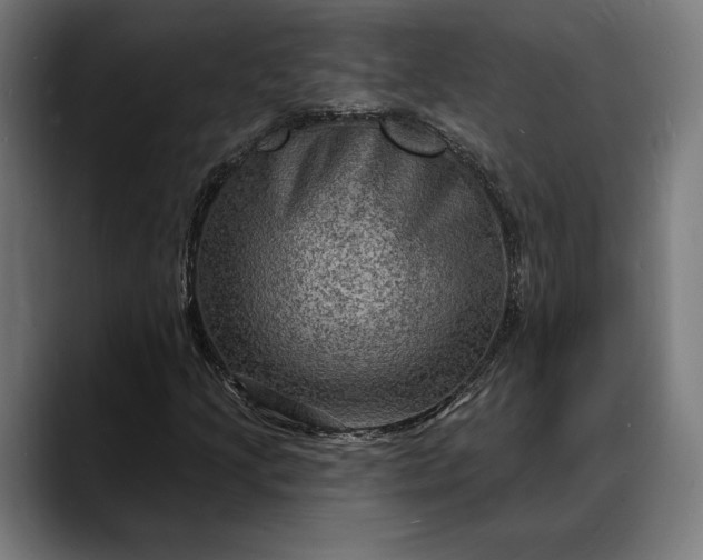 X0000088081205200705251401
