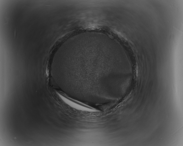 X0000088081206200705251401