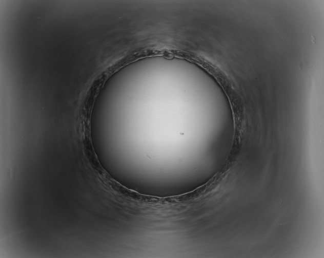 X0000088081207200705251401