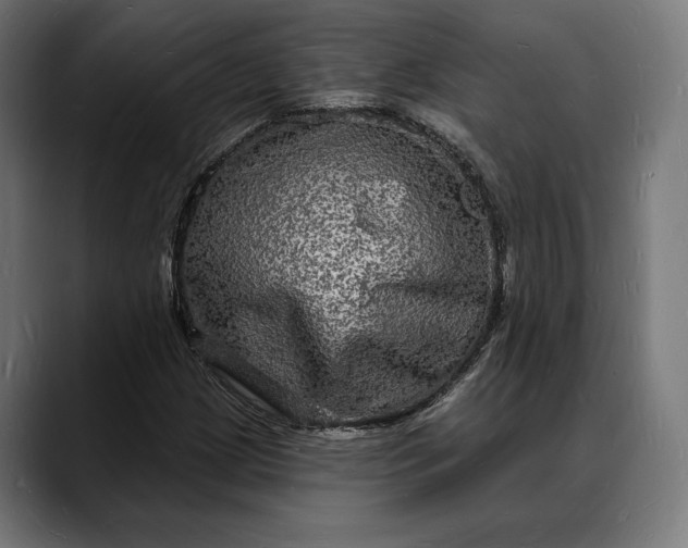 X0000088081209200705251401