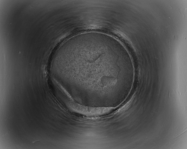 X0000088081210200705251401