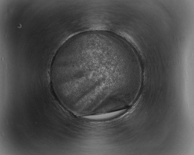 X0000088081212200705251401