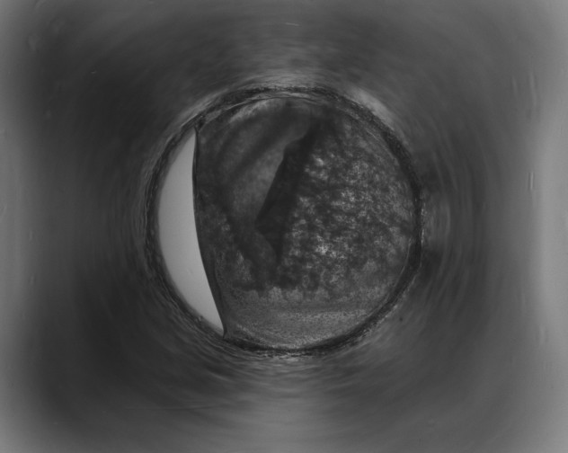 X0000088081213200705251401