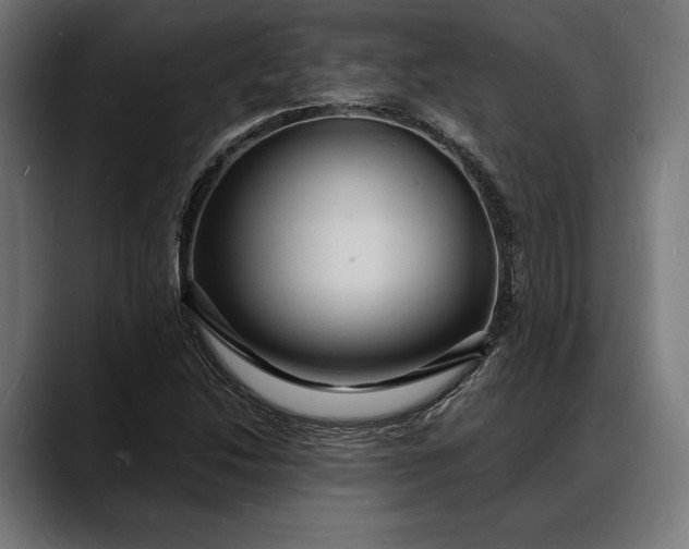 X0000088081214200705251401
