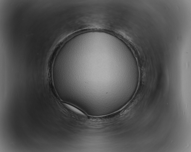X0000088081215200705251401
