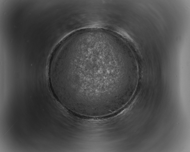 X0000088081216200705251401