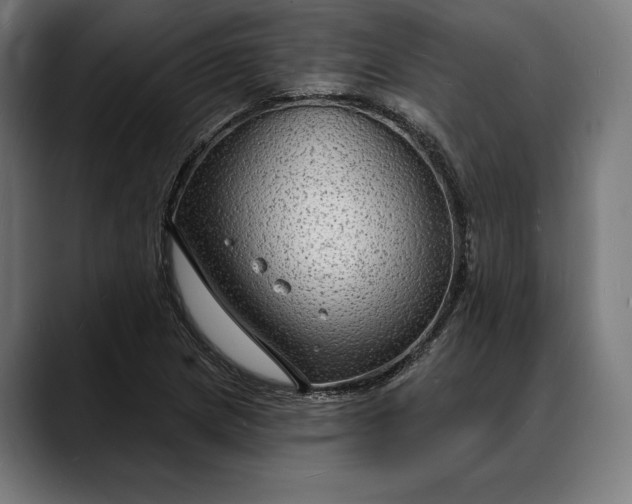 X0000088081217200705251401