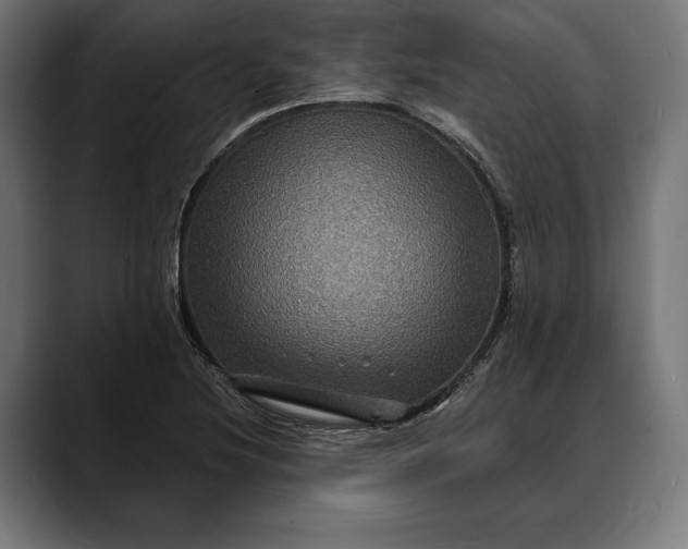 X0000088081220200705251401
