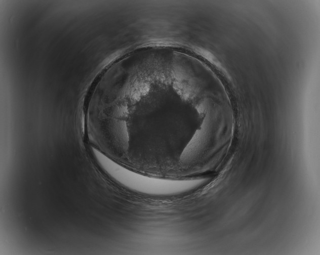 X0000088081221200705251401